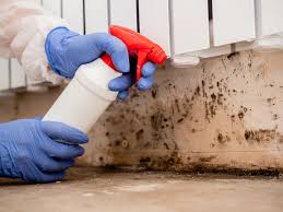 Mold Documentation for Insurance Claims in Bonsall, CA